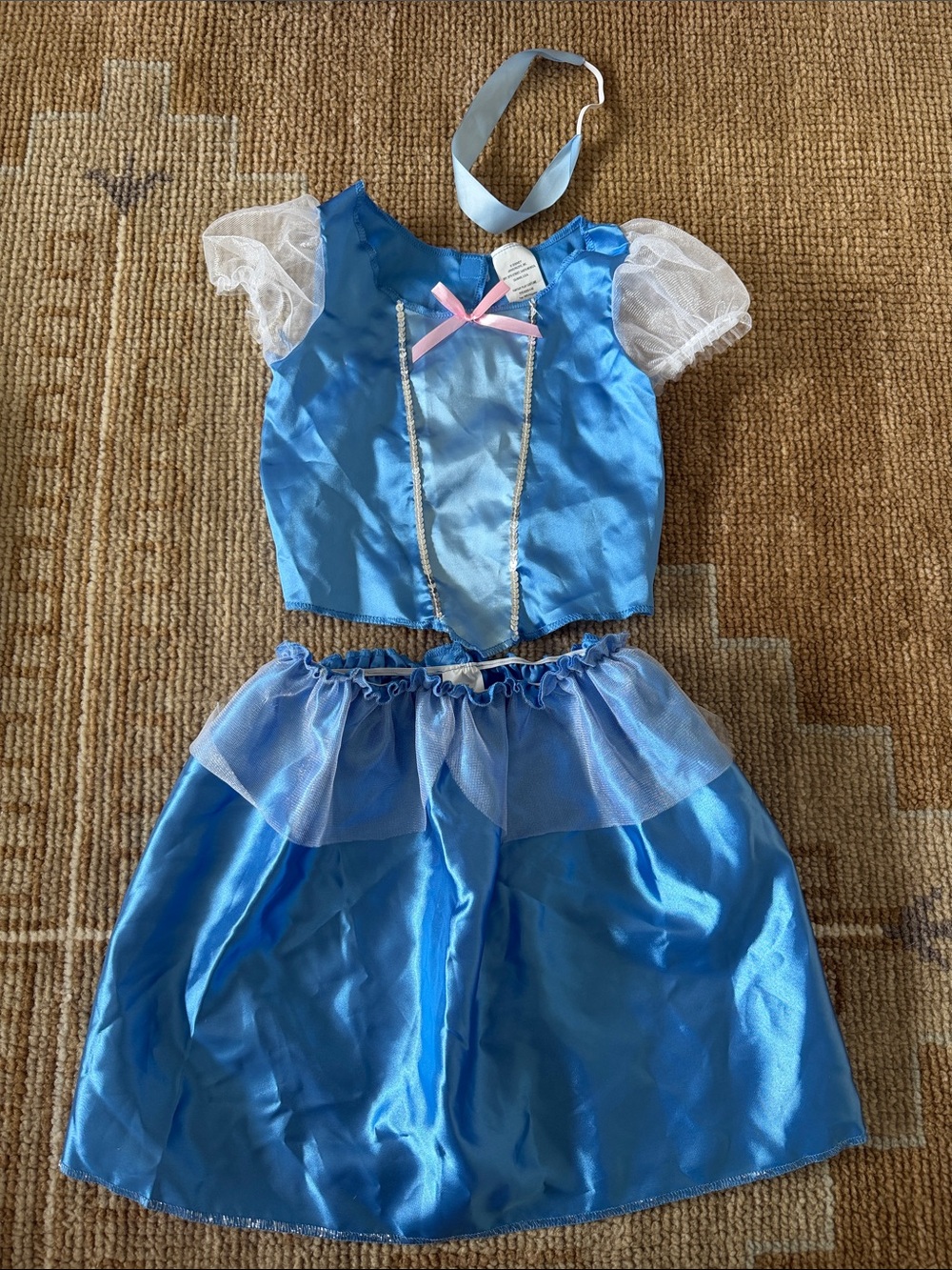 Cinderella Two Piece Costume